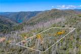 0 Pavlik Pines - Photo 5
