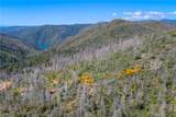0 Pavlik Pines - Photo 6