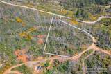 0 Pavlik Pines Road - Photo 3