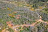 0 Pavlik Pines Road - Photo 4