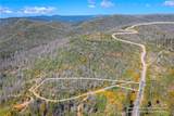 0 Pavlik Pines Road - Photo 5