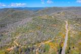 0 Pavlik Pines Road - Photo 6