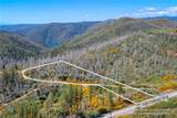 0 Pavlik Pines Road - Photo 7