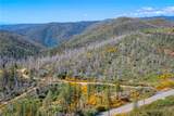 0 Pavlik Pines Road - Photo 8