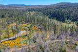 0 Pavlik Pines Road - Photo 9