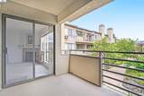 39078 Guardino Dr - Photo 19