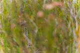 1 Gray Squirrel Road - Photo 66
