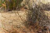 1 Gray Squirrel Road - Photo 67