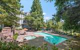 903 Sunrose Terrace - Photo 16
