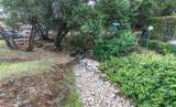 5303 State Highway 49N Unit #20 - Photo 41