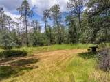 506 Black Canyon - Photo 4
