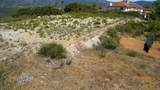 4 Rim Of The Valley - Photo 12