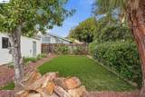 2011 Dolphin Dr - Photo 45