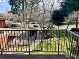 38500 Paseo Padre Pkwy - Photo 8