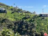 4615 Via Vienta Street - Photo 4