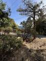 53642 Jeffrey Pine Court - Photo 8