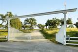 6685 El Pomar Drive - Photo 7
