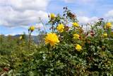 5603 Clouds Rest Road - Photo 57