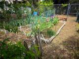 5603 Clouds Rest Road - Photo 59