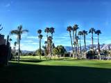 28284 Desert Princess Drive - Photo 44
