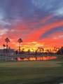 28284 Desert Princess Drive - Photo 45