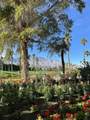 28284 Desert Princess Drive - Photo 46