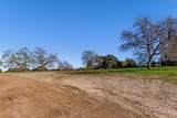 20103 Natoma Oaks Lane - Photo 4