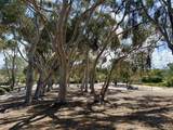 3601 Bernwood Pl - Photo 30