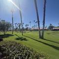 38921 Wisteria - Photo 19