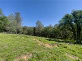 0 Berwick Lane - Photo 4