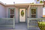 317 Grant Street - Photo 4