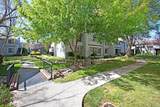 39921 Parada Street - Photo 36