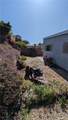 141 Jennifer Court - Photo 10