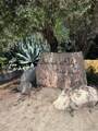 2360 Paseo De Laura - Photo 15