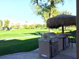 78870 Citrus - Photo 16