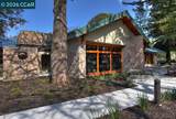 2065 Cactus Ct - Photo 58