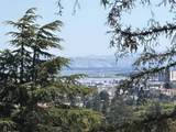 909 Hillcrest Drive - Photo 4