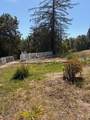 909 Hillcrest Drive - Photo 6