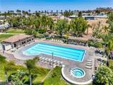 17603 Fan Palm - Photo 51