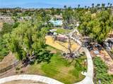 17603 Fan Palm - Photo 52