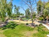 17603 Fan Palm - Photo 53