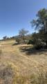 0 Via Ladera - Photo 31