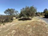 0 Via Ladera - Photo 37
