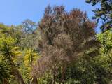 4576 Paul Sweet Road - Photo 13