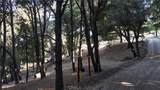 722 Mojave River Road - Photo 4