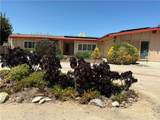 11735 Peach Tree - Photo 3