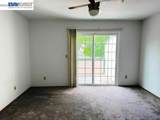 299 Shasta Dr - Photo 10