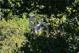 105 Upper San Antonio Falls - Photo 31