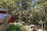 105 Upper San Antonio Falls - Photo 46