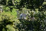 105 Upper San Antonio Falls - Photo 57